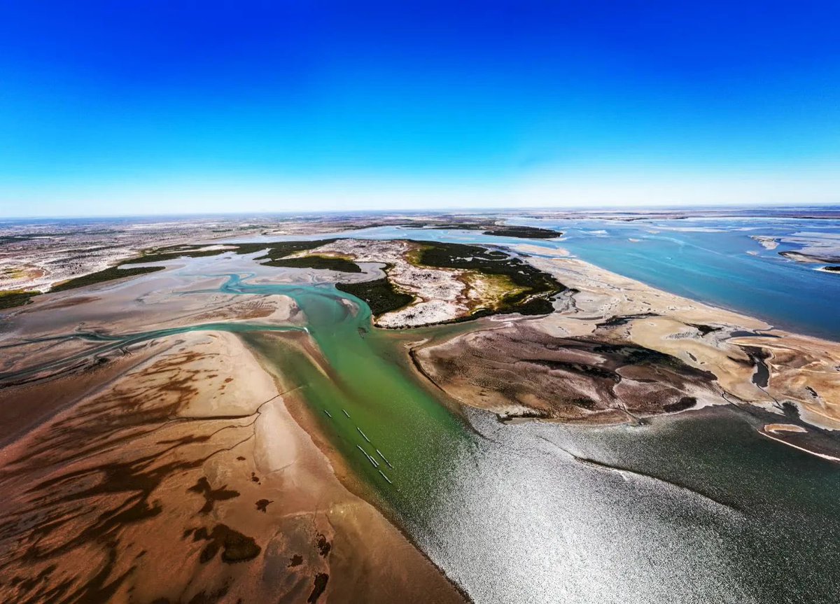 ¡La biodiversidad con la que contamos en Sonora es extraordinaria!

Este día, nos sumamos para generar conciencia colectiva sobre la importancia de trabajar en conjunto para conservar nuestra flora y fauna.
