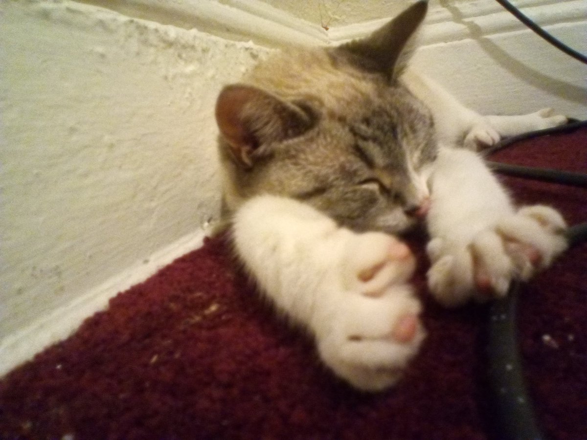DreamMaker97's tweet photo. Dats my pussy lol https://t.co/7jEttaL4zi