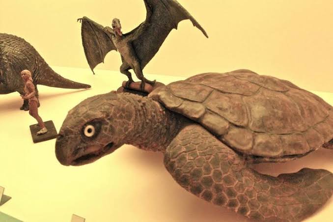 tatoodelsnake's tweet photo. #世界亀の日 
恐竜映画のアーケロンってこれだけかな
#Archelon  #turtlesday  #恐竜100万年  #OneMillionYearsBC  #RayHarryhausen https://t.co/FWQvlYG9e4