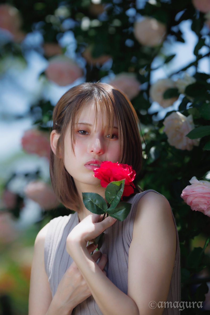 Model:花(ことりプロモーション所属)  photo by amagura  2024.5.19　@駕与丁公園(福岡県糟屋郡)　CANON R5　RF135mm f1.8 AD200　#ことり撮影会　＃ばら撮影　#ポートレート　#ポートレートの好きな人と繋がりたい　#portrait　#portraitphotography　※モデルの持っているバラの花は造花です。