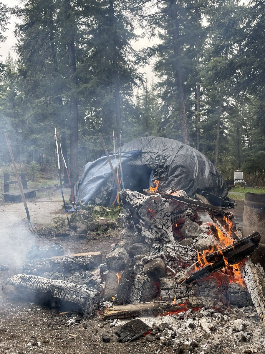 Tess Riley tweet media