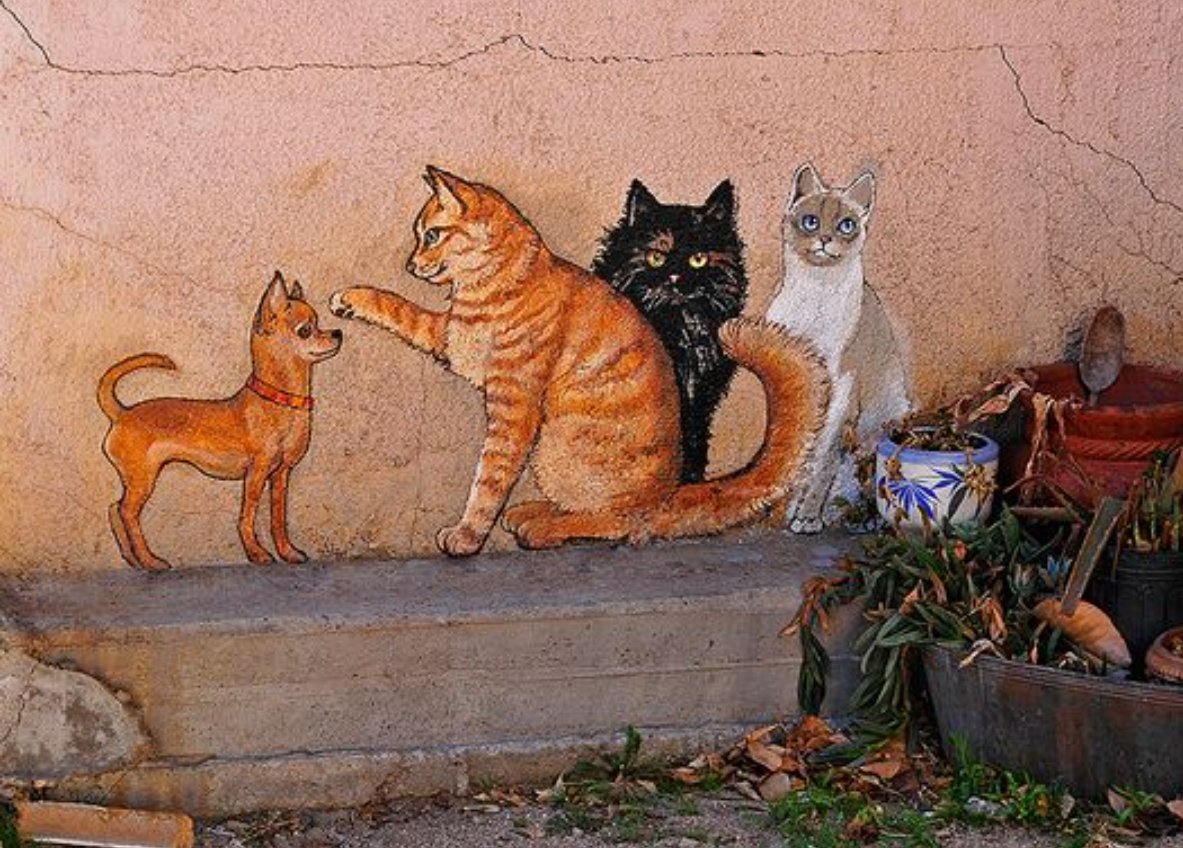 GOOD MORNING ☕ 🍩 😺

#StreetArt #art #urbanart  #mural  #photography #cat #Israelpalestine #catlovers #FREEPALESTİNE  #Palästina #StopBombingGaza