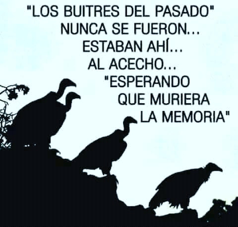 Jcperezm2's tweet photo. Ahí siguen en la carroña política. https://t.co/EQgKrdlyak