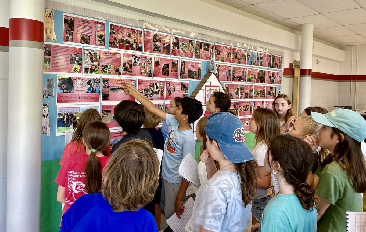 Ms. Adrian’s 5th-graders were using their best detective skills to look at clues on the Pets of Saxe board to solve one of @SaxeMS’s greatest mysteries - locating missing materials from their classroom… They are well on their way to finding out “who done it”! 🕵️‍♂️ 🔎