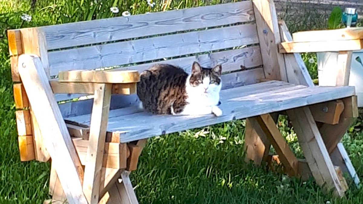 Bay Treasure Chest tweet media