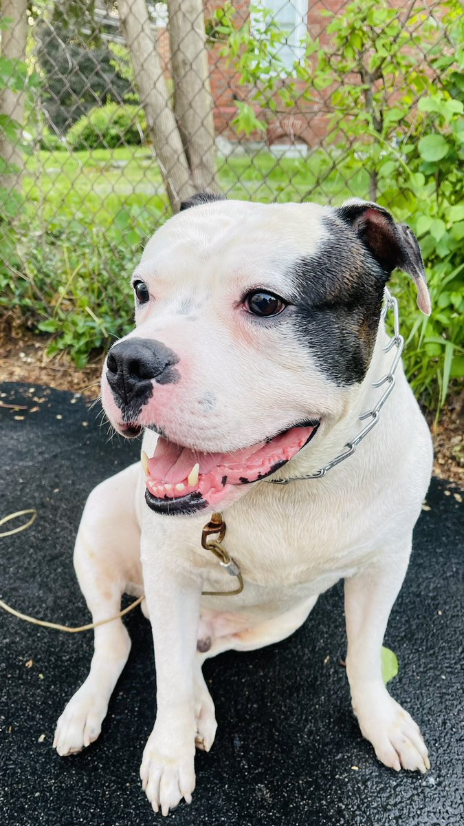 Who's the Handsome boy 🥰🫶🏽