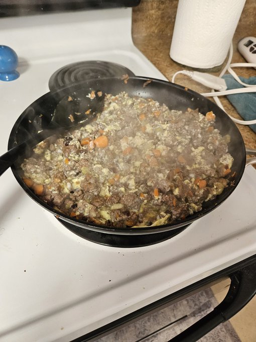 Making doggie dog food tonight Hamburger  mushrooms  carrots  celery cranberries and eggs. https://t