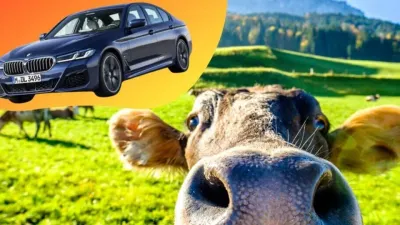 CIAAction's tweet photo. Action of the Day: TELL CAR COMPANIES TO PUT THE BRAKES ON CRUELTY

https://t.co/X8kGJTXnew

#CIAA #Compassionisanaction #Animalrights #Activism #Vegan #Crueltyfree #Animaladvocacy #Veganactivism #Veganism https://t.co/HBjpcdraao