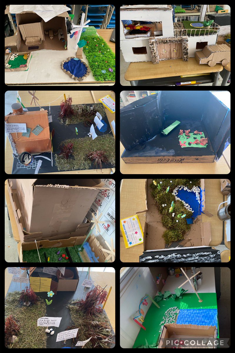 MrsThomas905's tweet photo. Check out the Eco Houses that our Grade 4’s &amp; 5’s created. Thanks for showcasing your ideas &amp; knowledge @MaryHopkinsPS @Susete_Bloom https://t.co/Kj0ekhsFu9