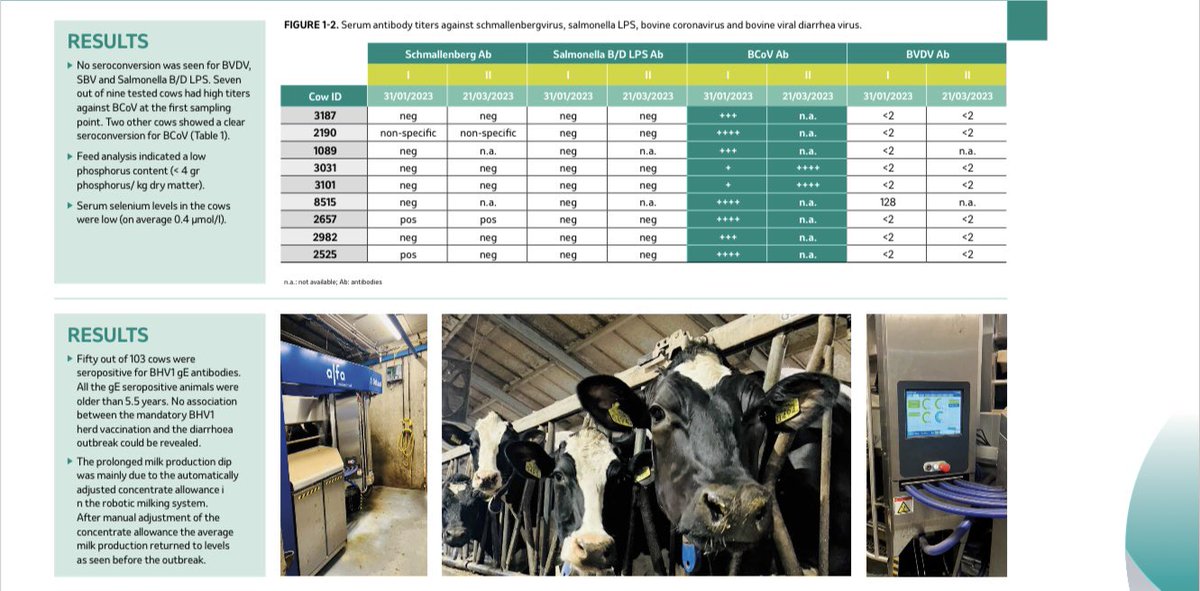 bhietberg's tweet photo. Vandaag was het zover, na lange voorbereiding en lange reis, mijn case report presentatie incl Hollandse 🐄 foto’s met co auteur Henk Kuijck @msd_ah en Frederik Waldeck @GD_Deventer Cancun Mexico #32WBC. 
Leuke vragen gehad van veterinairen uit oa Finland, Namibië, Mexico. #BCoV https://t.co/QxxR8Au6EF