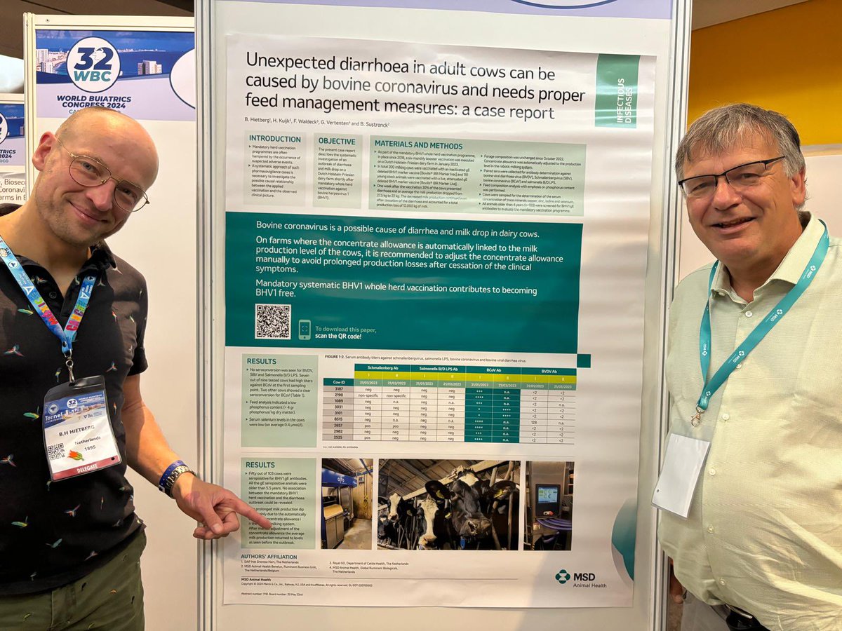 bhietberg's tweet photo. Vandaag was het zover, na lange voorbereiding en lange reis, mijn case report presentatie incl Hollandse 🐄 foto’s met co auteur Henk Kuijck @msd_ah en Frederik Waldeck @GD_Deventer Cancun Mexico #32WBC. 
Leuke vragen gehad van veterinairen uit oa Finland, Namibië, Mexico. #BCoV https://t.co/QxxR8Au6EF