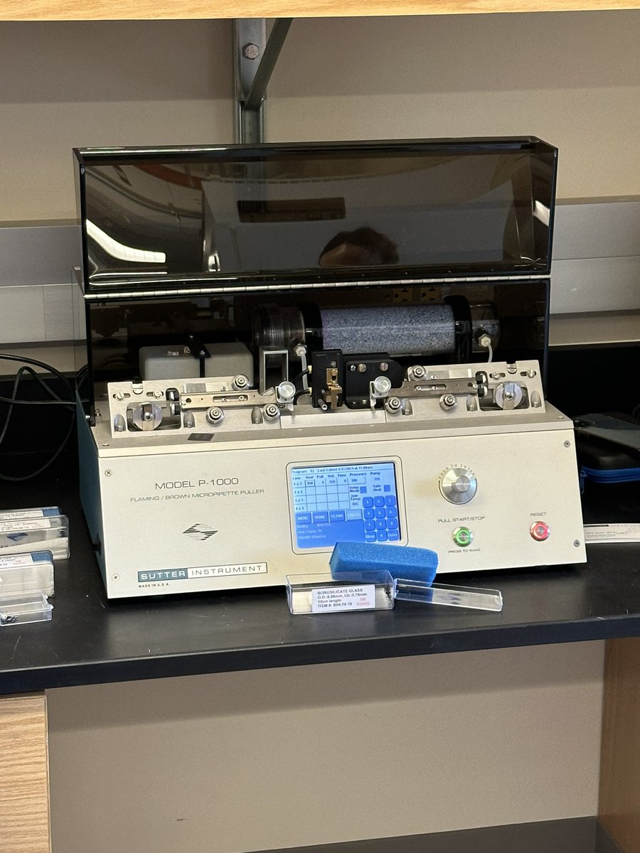 JMLection's tweet image. Pipettes and Pies today at FIR with Sutter Instruments @FIRbees @MBLScience #FIRbees