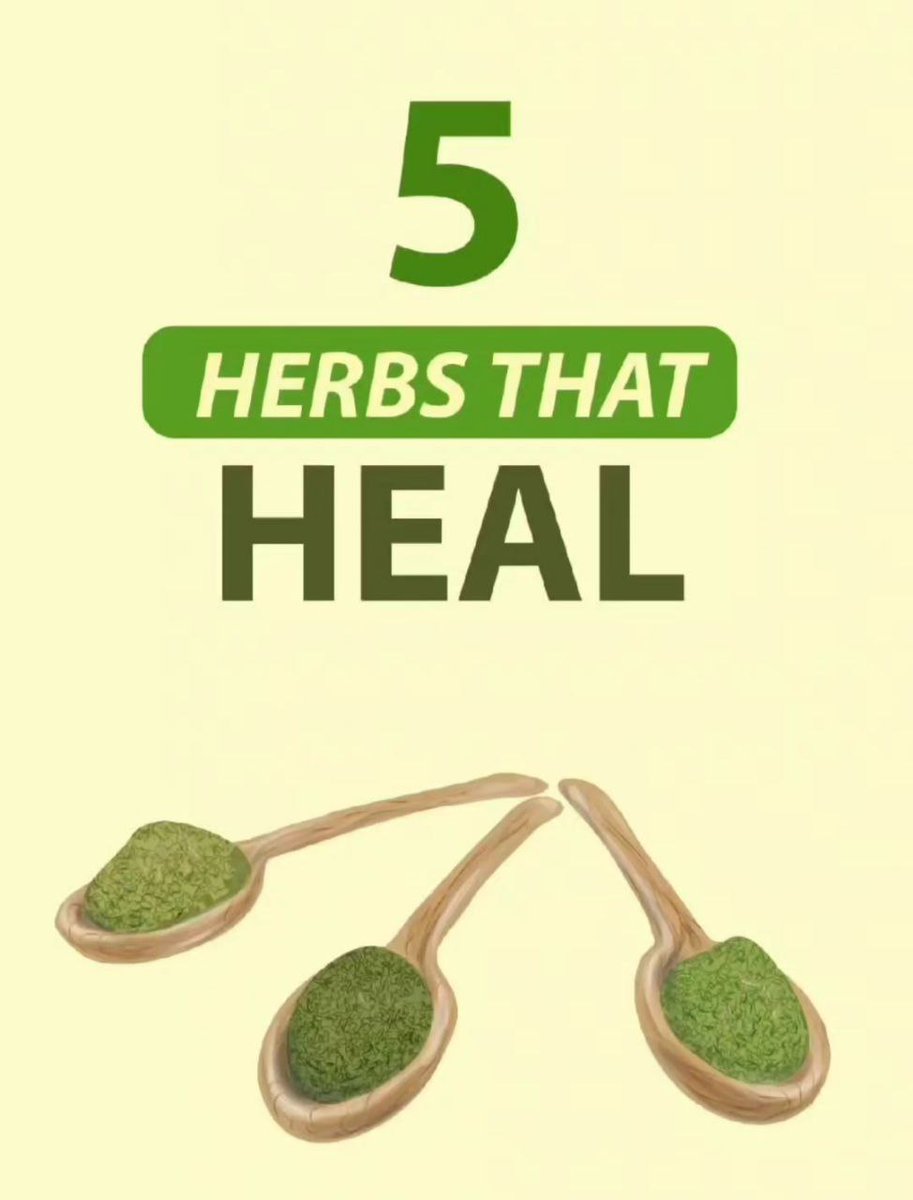 5 herbs that heal 🧵👇