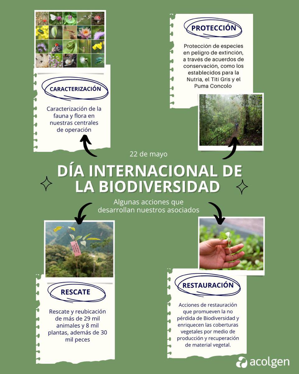 En el #DíaInternacionalDeLaBiodiversidad, desde Acolgen reiteramos nuestro compromiso con priorización de la protección y el manejo responsable de nuestros recursos naturales 🌴🌳🐒