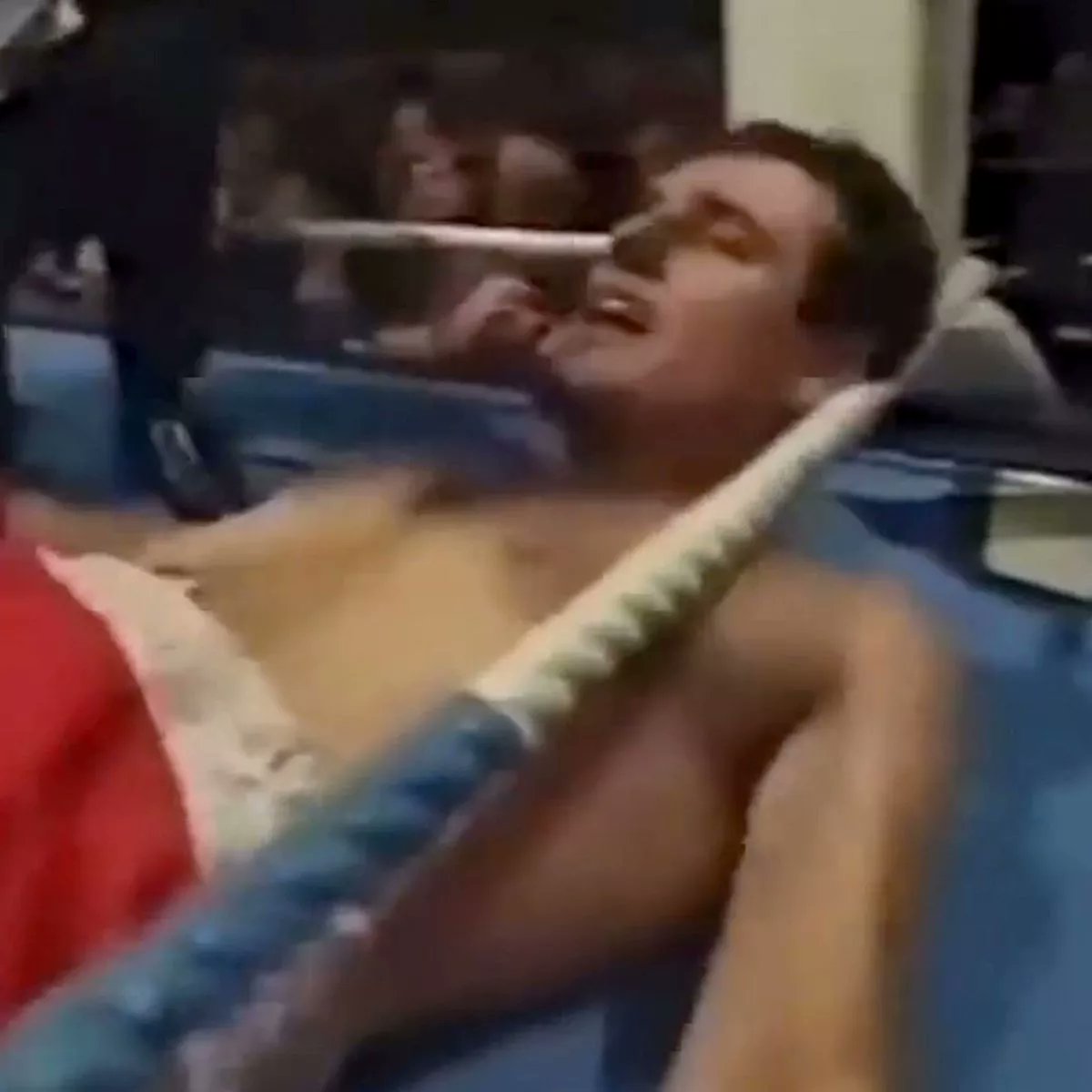 THE MMA GURU tweet media