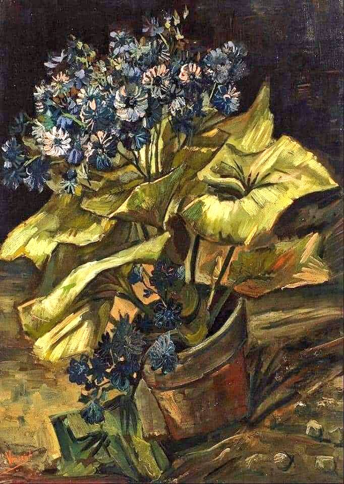 __๑୭̥🌹🍃 𝕯𝖊𝖑𝖎𝖈𝖆𝖉𝖊𝖟𝖆𝖘 𝖉𝖊 𝕸𝖔𝖗𝖌𝖆𝖓𝖆 🍃🌹๑୭̥

Vincent Van Gogh, Vaso di Cineraria(1886).
#art #vincentvangogh