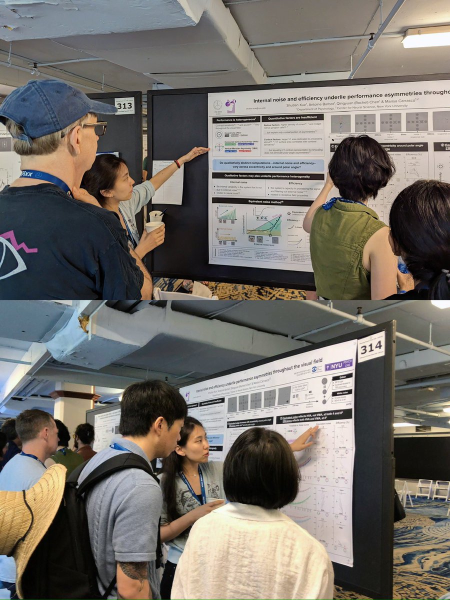 Rachel_QC77's tweet image. Had a fantastic experience at my first VSS @VSSMtg. Where I not only enjoyed meeting and discussing science with wonderful people but also had the opportunity to co-present with @ShutianXue73367 @carrasco_lab on our latest research. Looking forward to seeing you again next year!!