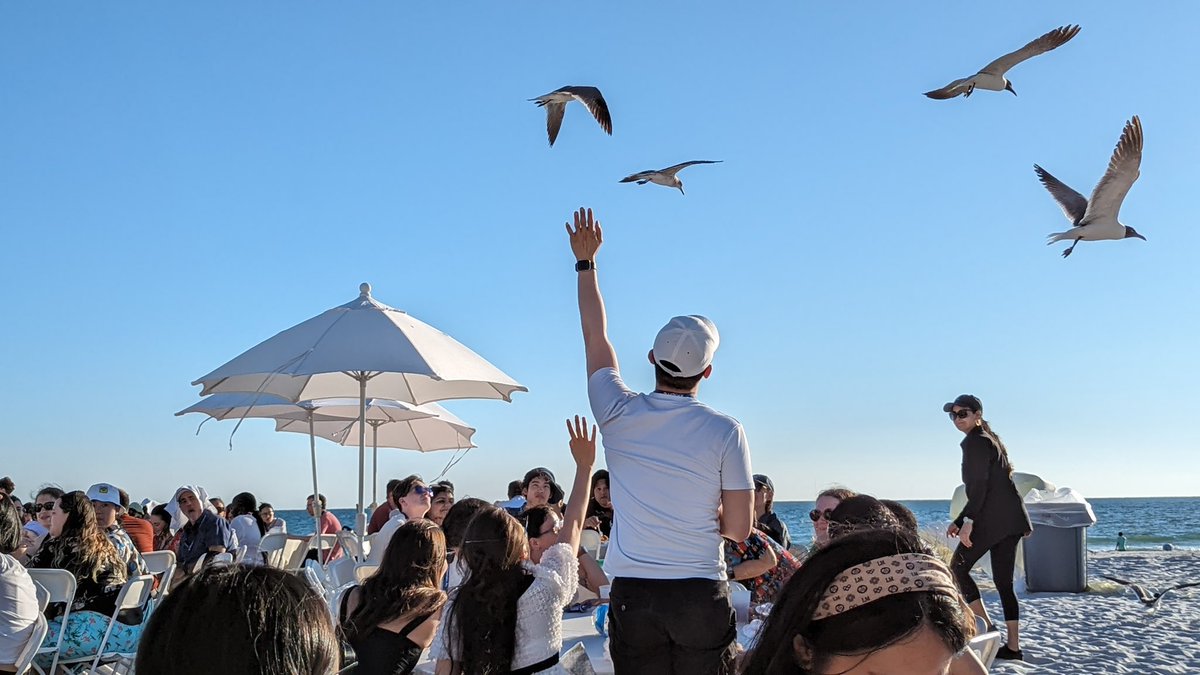 Rachel_QC77's tweet image. Had a fantastic experience at my first VSS @VSSMtg. Where I not only enjoyed meeting and discussing science with wonderful people but also had the opportunity to co-present with @ShutianXue73367 @carrasco_lab on our latest research. Looking forward to seeing you again next year!!