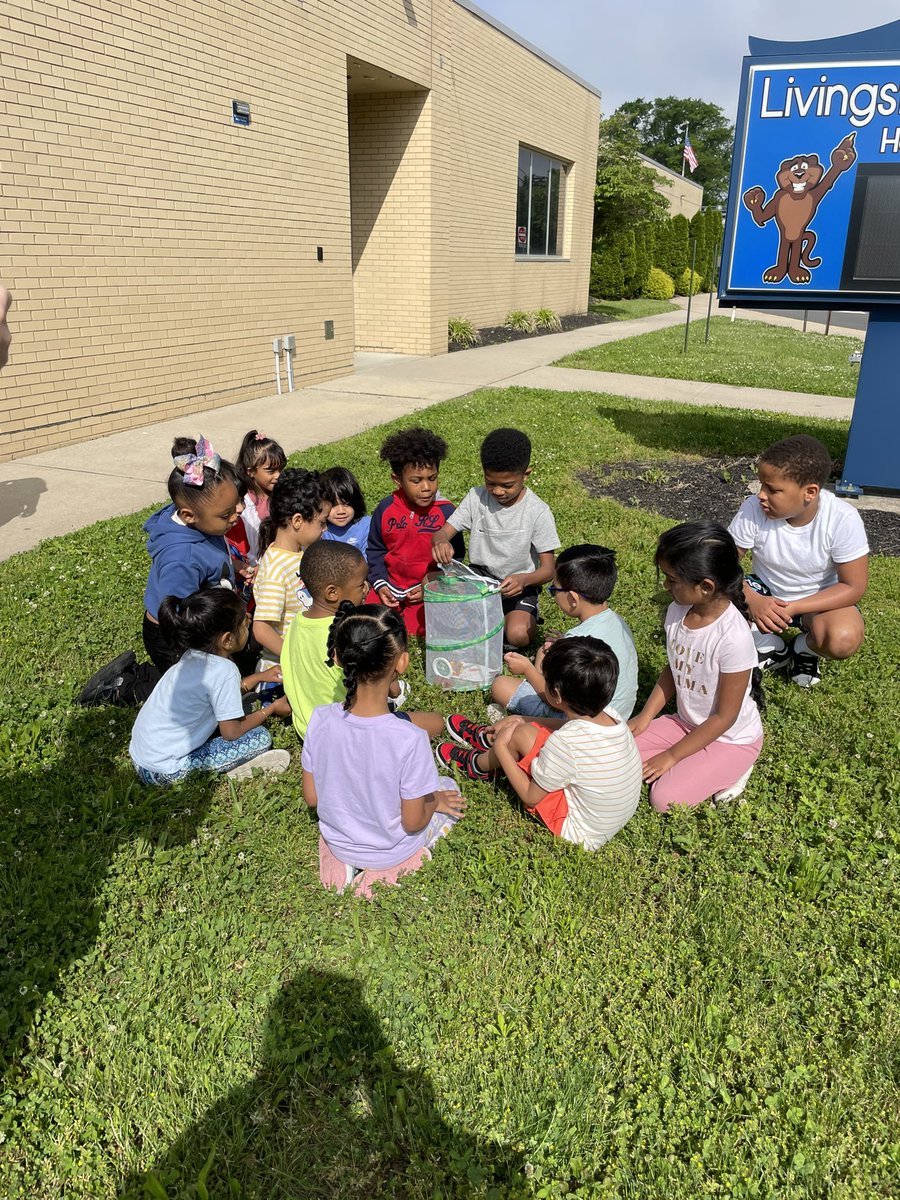 MissVatLP's tweet photo. We were so excited to release our butterflies! We had the help of @MrSeanBrown_βs friends and they told us amazing facts about the butterflies before we released them! #NBTeamPreschool #WhyLP https://t.co/aYSy90qa9Z