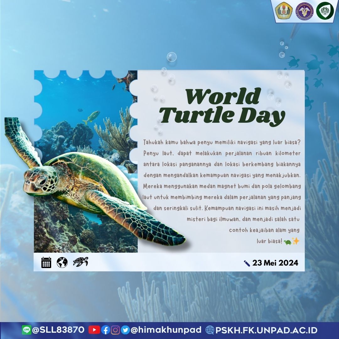 himakhunpad's tweet photo. [HAPPY WORLD TURTLE DAY!] https://t.co/ad5IBk1xkf