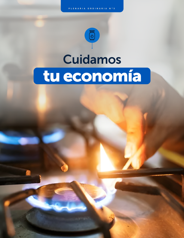 ¡Buenas noticias para las familias salvadoreñas! ✅ Ampliamos hasta el 31 de mayo de 2025 la vigencia de la Ley Especial Transitoria para la Estabilización de los Precios del Gas Licuado del Petróleo, con el fin de mantener los precios de este recurso y que las alzas