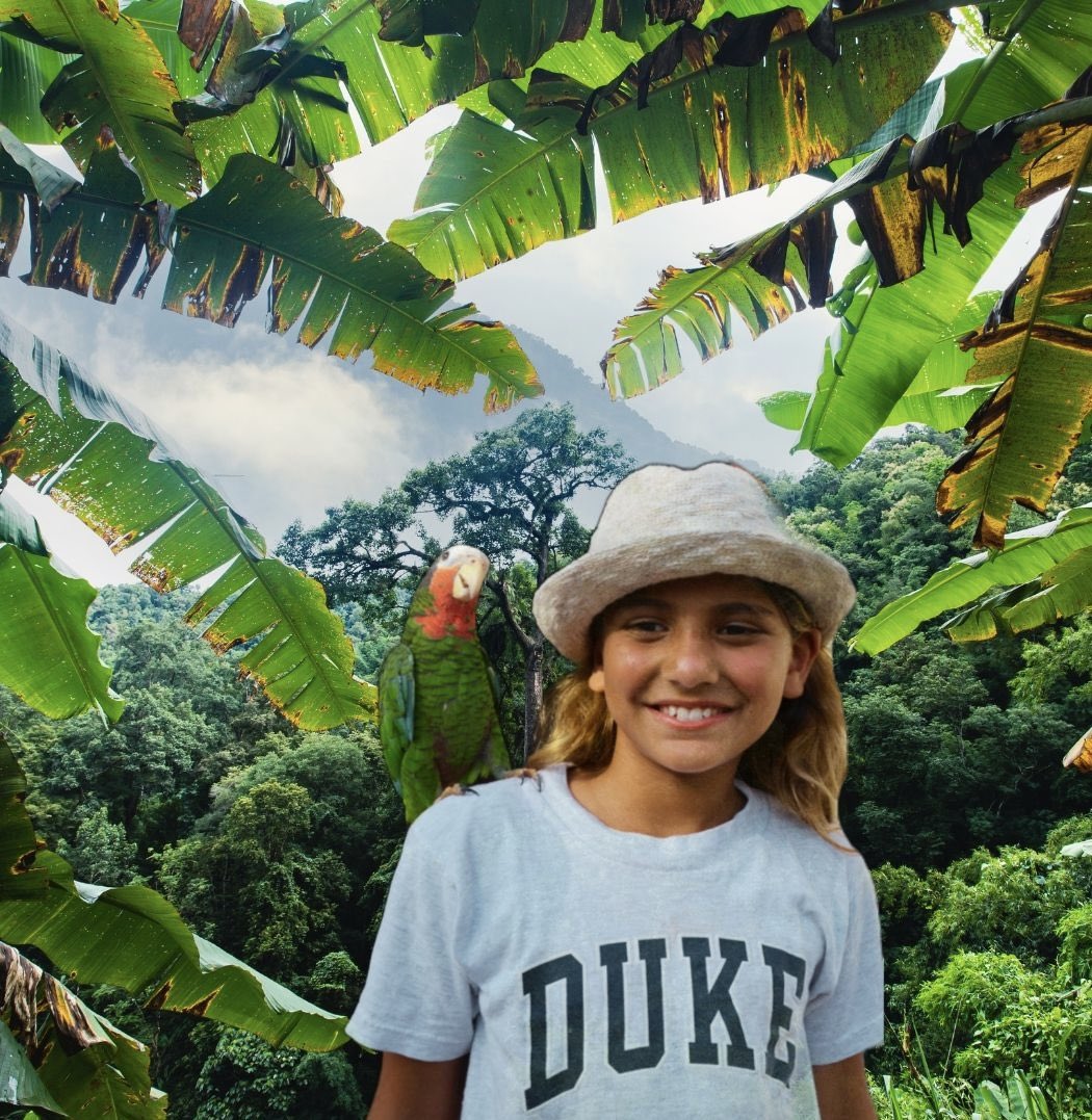 Today is #InternationalBiodiversityDay! The #Amazonas, home to countless species, is a treasure of #biodiversity. Join <a href="/RFM_Productions/">RFM Productions</a> a community that believes saving our forest isn't just about nature-it's about human well-being and equitable communities.#ourforestisinyourhand