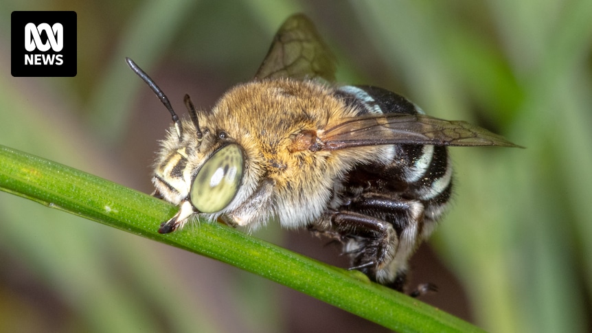 Susan Elliott tweet media