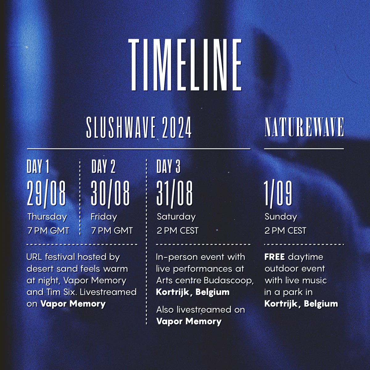 Vapor Memory tweet media