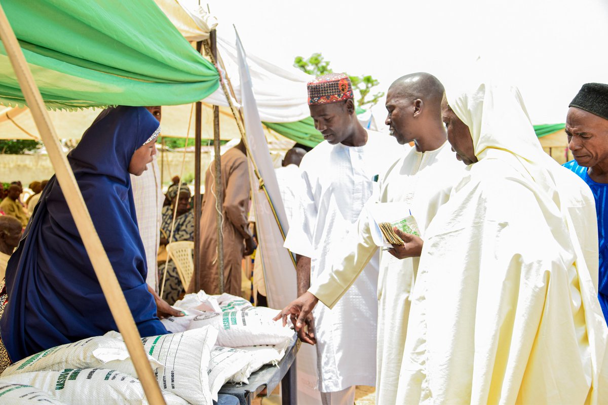 Celebrating the remarkable achievements of our CBSEs at the just concluded wet season inputs fairs! Their branded seeds and market savvy are setting new benchmarks in the Northeast Nigeria. 🌱👏 #SeedEntrepreneurs #AgriSuccess #CommunityBasedSeedEntrepreneurs