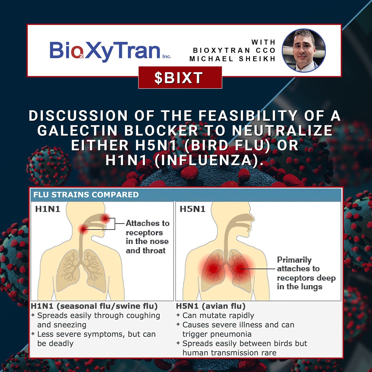 MikeSheikh2's tweet photo. @texan_maga @MittRomney #Birdflu data - Yes lets get it, but why not actually do something about #H5N1? $BIXT has a plan - Check it out. Maybe $NNVC $COCP have plans too. Let #smallpharma do it vs $MRNA $NVAX $CVAC $PFE $BNTX
https://t.co/sg0jNjlJla https://t.co/z9KNmclgqX