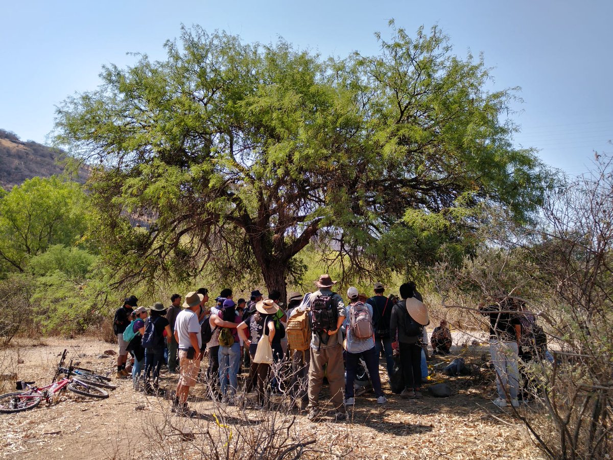 Desde la #Pasantía2024 este fin de semana nos unimos a la caminata en el Río El Pueblito 💧🌱 Grata experiencia de diálogo de saberes por el bien común donde coincidimos con personas, organizaciones y colectivos del @AguaquecorreF y el @cafeparalapaz #ManosALaCuenca