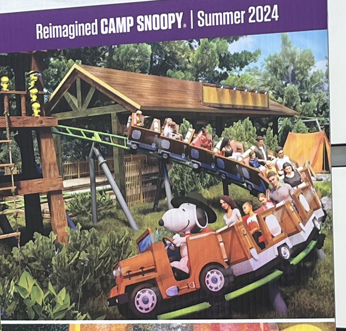 andrea seigel tweet media