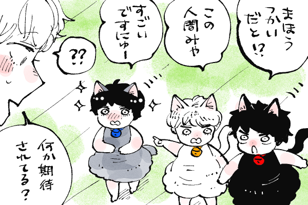 🐱キラキラにゃんこ生活
噂を聞きつけアキとマコトもきた😂
(キララは土佐山田くんの話聞いてない🤣) 
