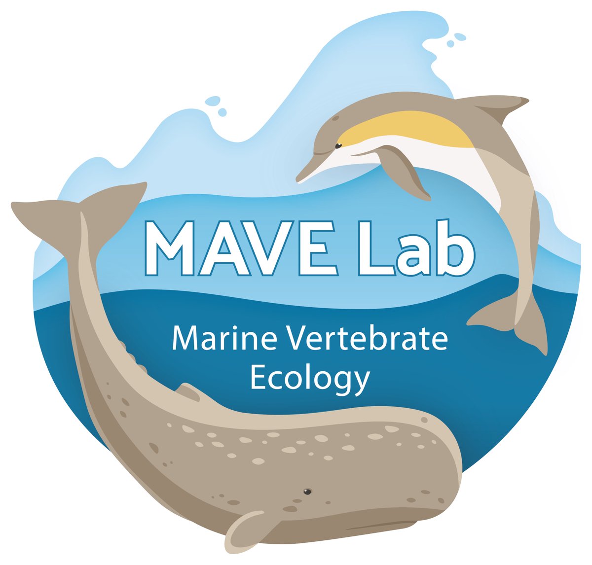 Thank you @GraphicsSci for designing this beautiful logo for the Marine Vertebrate Ecology Lab <a href="/UOW/">UOW</a> ! Check out our research on mavelab.org and please get in touch if you’re interested in working with us🐬🐳🐋🐢🐠🦭 #science #marinemammals #academia #graphics #phdchat