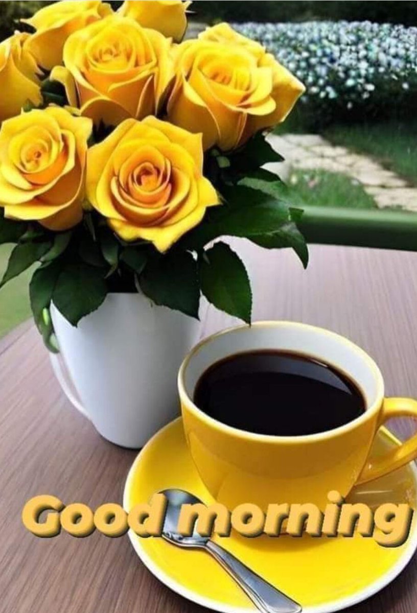 Nazi Malik tweet media