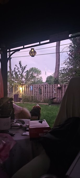 Watching a storm come in, pup sitting a blond beagle and having a vodka lemonade.   I'm like, happy?