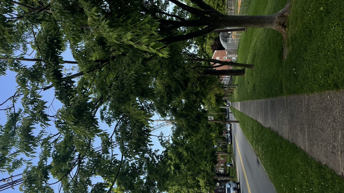 오후 5시에 산책하면 나오는 색감