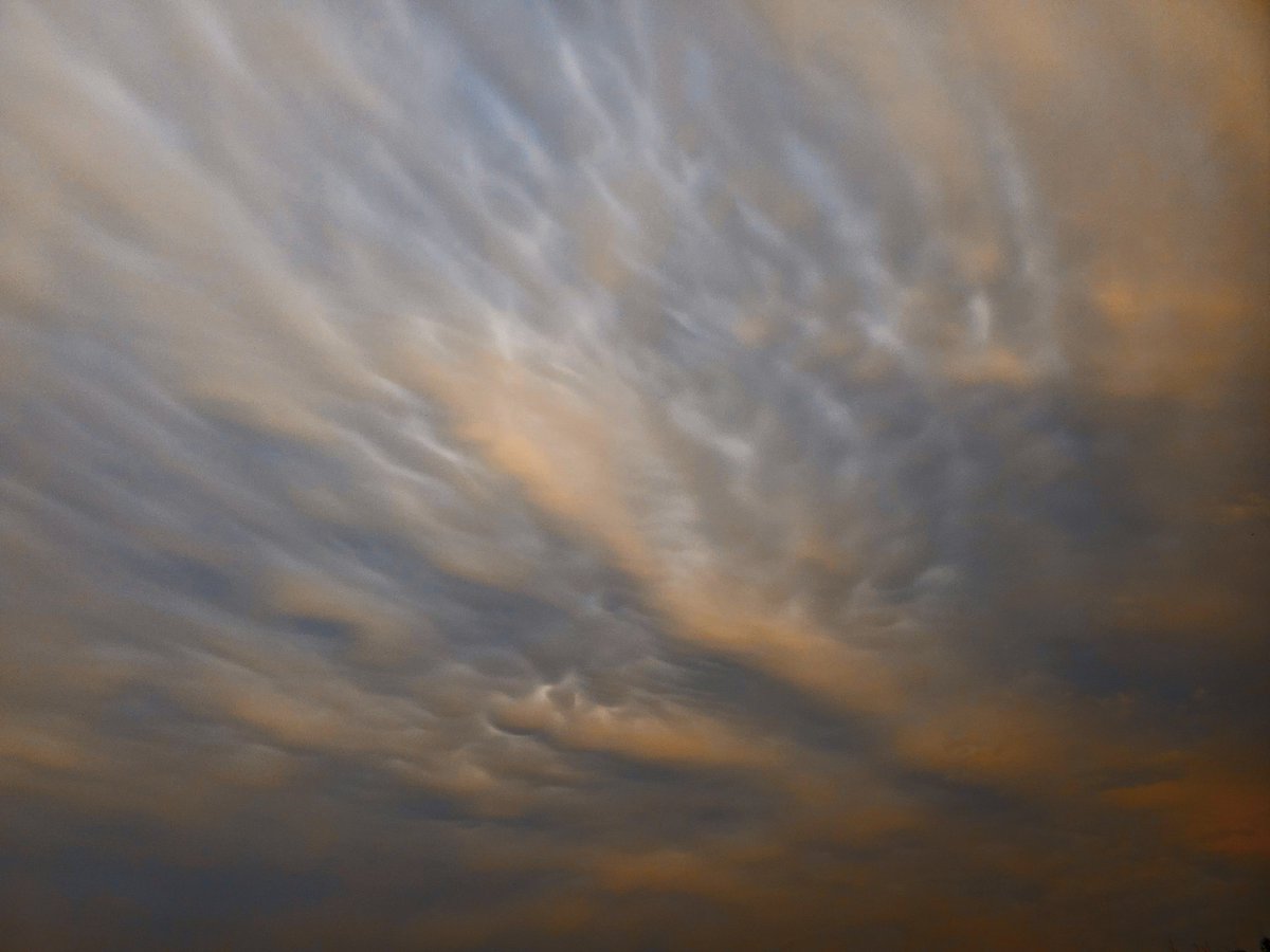 Beautiful Mammatus clouds in Tarrant County this evening. #txwx #dfwwx @TxStormChasers