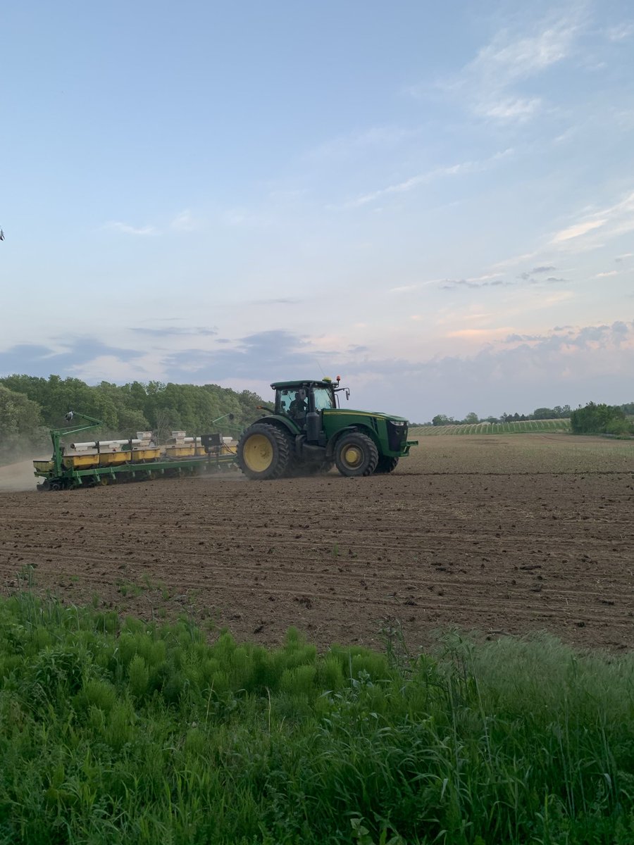 Last field of corn