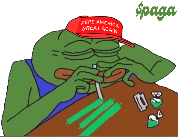 pepewifmaga tweet media