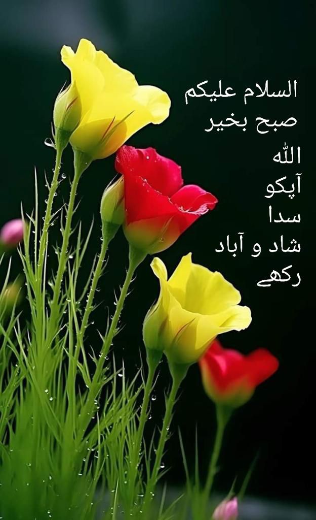 السلام علیکم ورحمتہ اللہ وبرکاتہ 
دعائیں
 وہ پُھول ہیں جوزندگی کی پریشانی میں آسانی اورکامیابی کی خوشبوبکھیرتی ہیں الله تعالی
ہم سبکوہمیشہ ایمان، صحت اورگھر بار میں خیروبرکت سےنواز دےہمیں اورہمارے پیاروں کوخوشیوں اوررَاحتوں سےگل وگلزارفرما دے
#X_promo
#HalaMadrid 
#صحيفة_المدينة