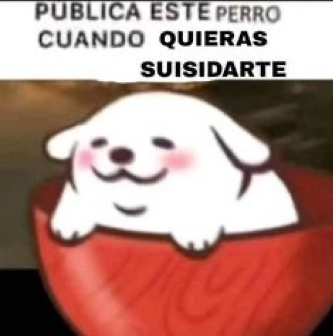 alcoholizzado's tweet photo. https://t.co/bFv4p4wOf8