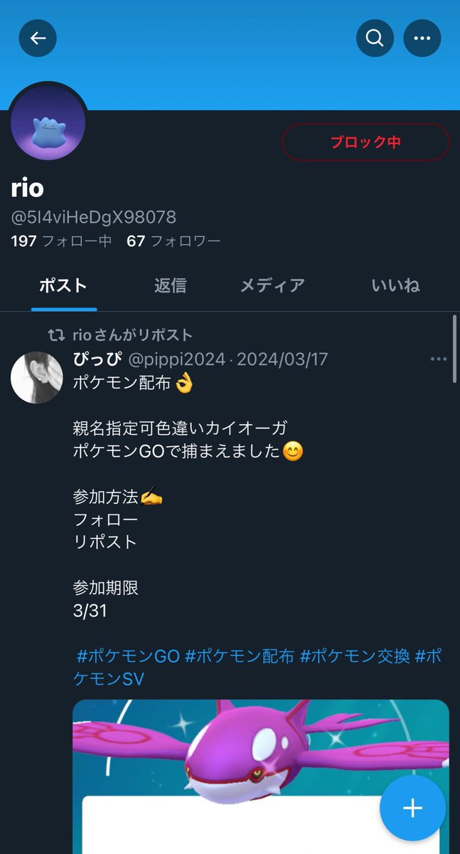 chell22pokemon's tweet photo. ⚠️注意喚起⚠️
このアカウント全て同一人物のTN rio

アカウントを全てブロックしてるのに自分の投稿を見てるようなので、すでに別垢が始動してると思われます

ポケモン交換の際は、しっかり詳細、TNなどを確認する様お願いします！

＃ポケモン交換　#ポケモン詐欺 https://t.co/WrZ4Xgvz6m