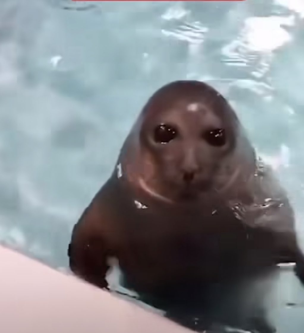 #jjk261 MOE IS IN DENIAL ABOUT GOJO