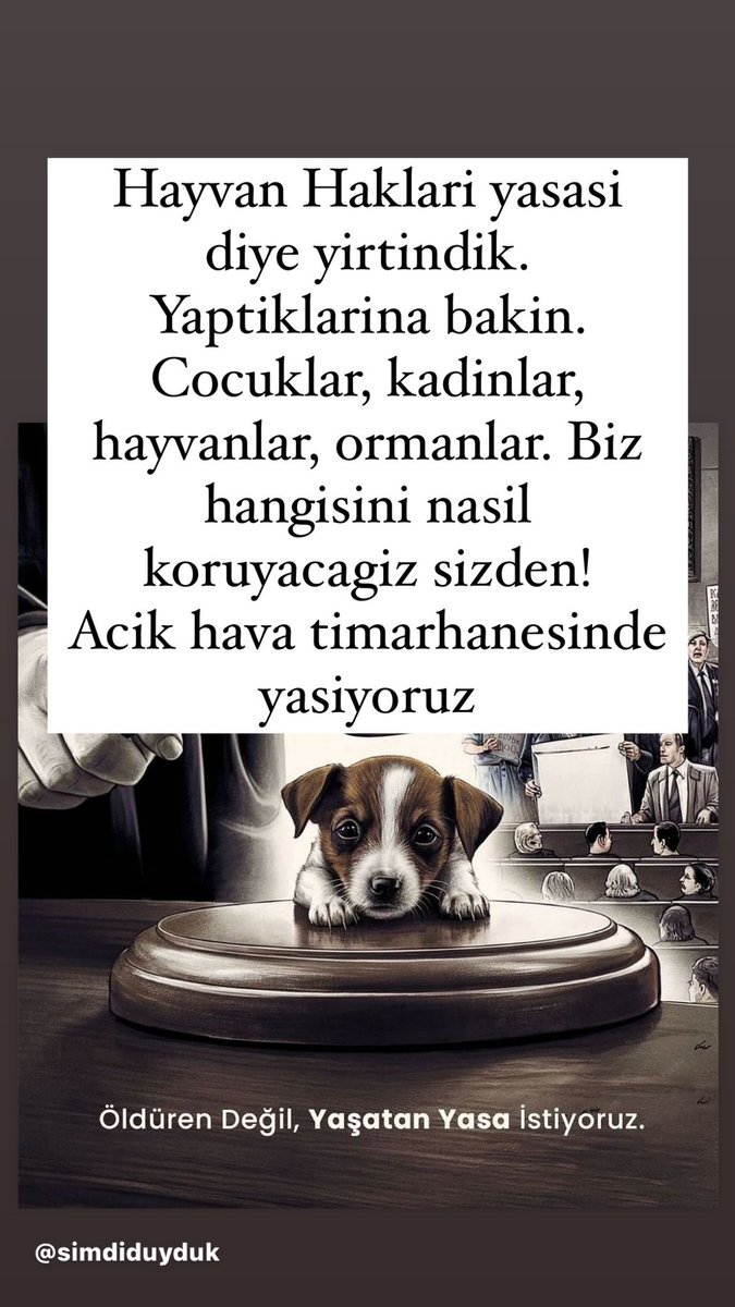 #sokakhayvanlarisahipsizdeğil #SOKAKHAYVANLARISAHİPSİZDEĞİL