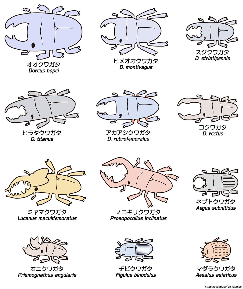 ぼんやりしている間に #国際生物多様性の日 が終わっていた(5月22日)。 
#InternationalDayforBiologicalDiversity #InternationalBiodiversityDay 