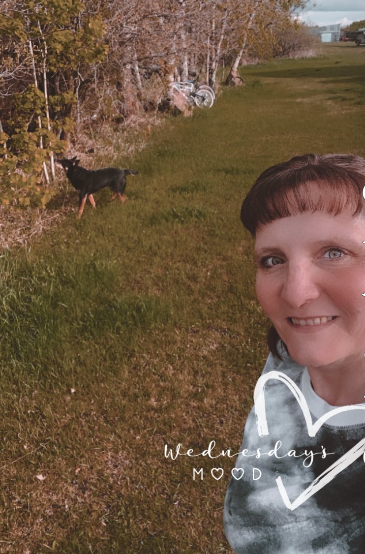 DorvalJennifer's tweet photo. It may have rained all day while I was at work but it was a beautiful evening to go for a walk with the dog! #nwsdfit @northwestsd203 https://t.co/MowUCazL3d