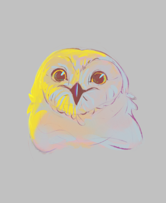 Hoot hoot