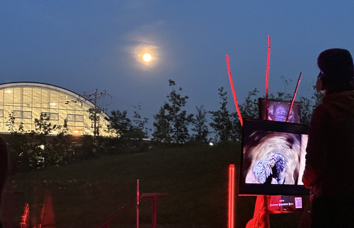 Dapper_Tux's tweet image. The true North of Midgard (#Toronto) is decked out for Senua's Saga: Hellblade II global launch, full moon and all! 🌕 🪓

Time to match some glyphs!

#Hellblade2 #Xbox