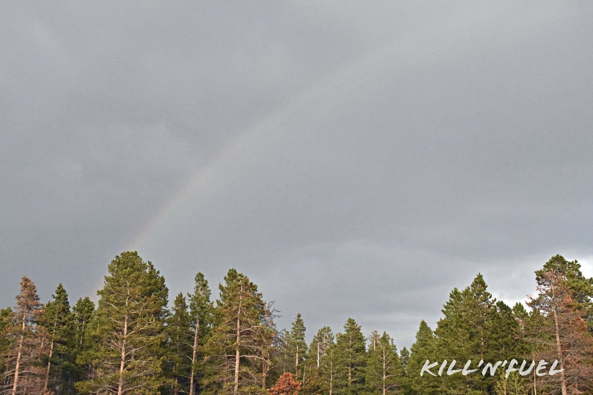KillNFuel's tweet photo. Stormy rainbow.
#rainbow #moodysky #stormy #cloudy #naturephotography #refraction #lightinwater #arc #rainbowphotography https://t.co/sbR3y3LQ4n